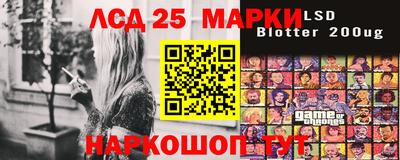 гидра Гатчина