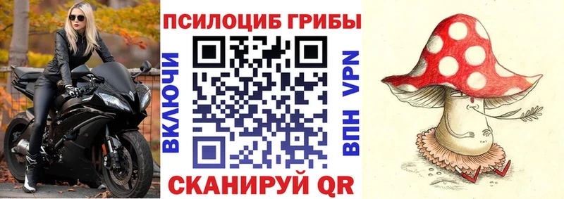 Псилоцибиновые грибы Psilocybine cubensis  Кохма 