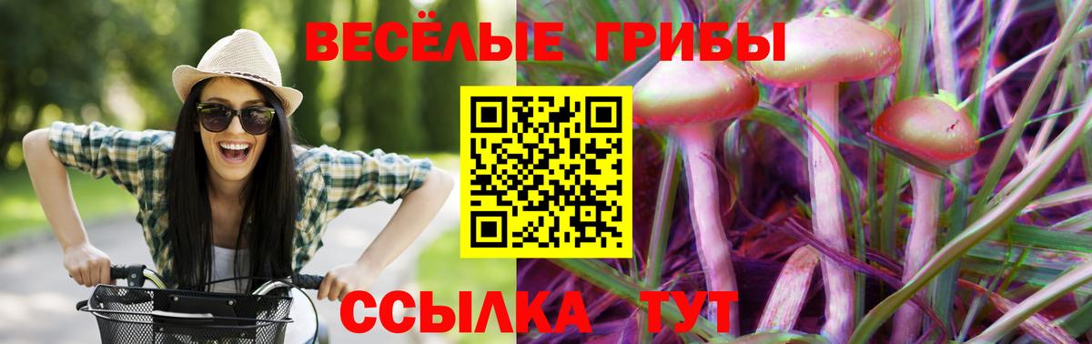 Псилоцибиновые грибы прущие грибы Кохма